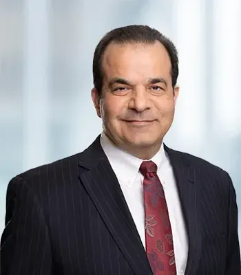 Amir M. Farzaneh